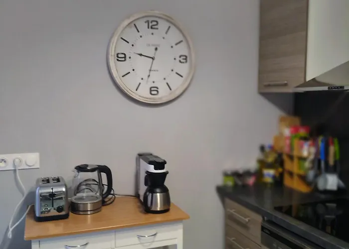 Maison Avec Jardin, Calme Et Ensoleillee A 2 Minutes Du Centre-ville Holiday home *